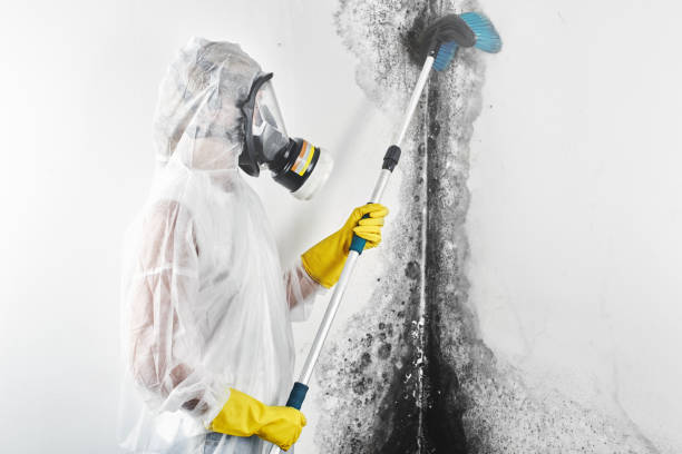 Dehumidification Services in Sandia Heights, NM