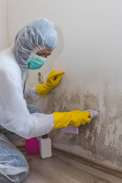 Best Crawl Space Mold Remediation  in Sandia Heights, NM