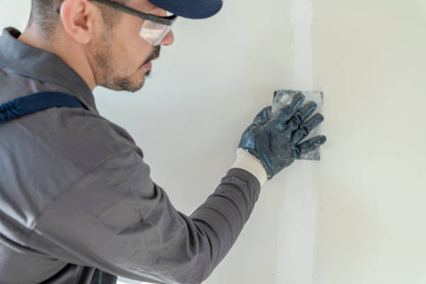 Best Mold Odor Removal Services  in Sandia Heights, NM