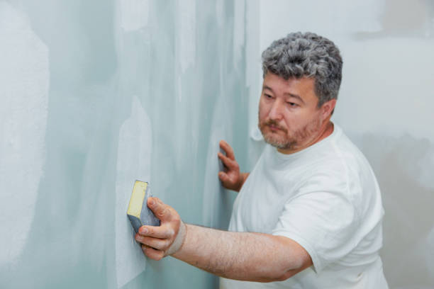 Best Industrial Mold Remediation  in Sandia Heights, NM