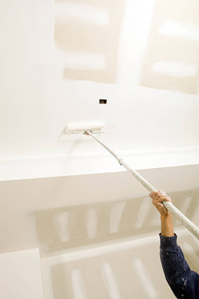 Best Biohazard Mold Removal  in Sandia Heights, NM