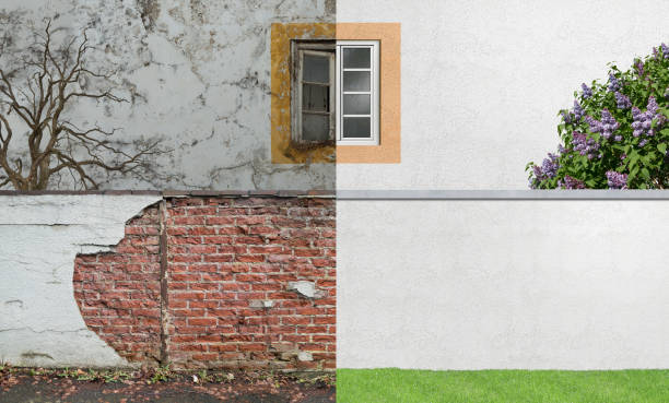 Best Black Mold Removal  in Sandia Heights, NM