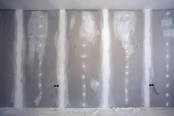 Best Mold Remediation for Healthcare Facilities  in Sandia Heights, NM